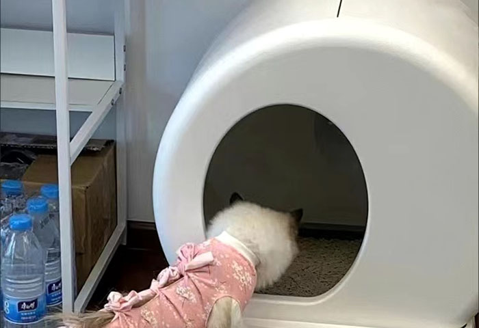 全自動貓砂盆自動的功能感應失靈了怎么辦
